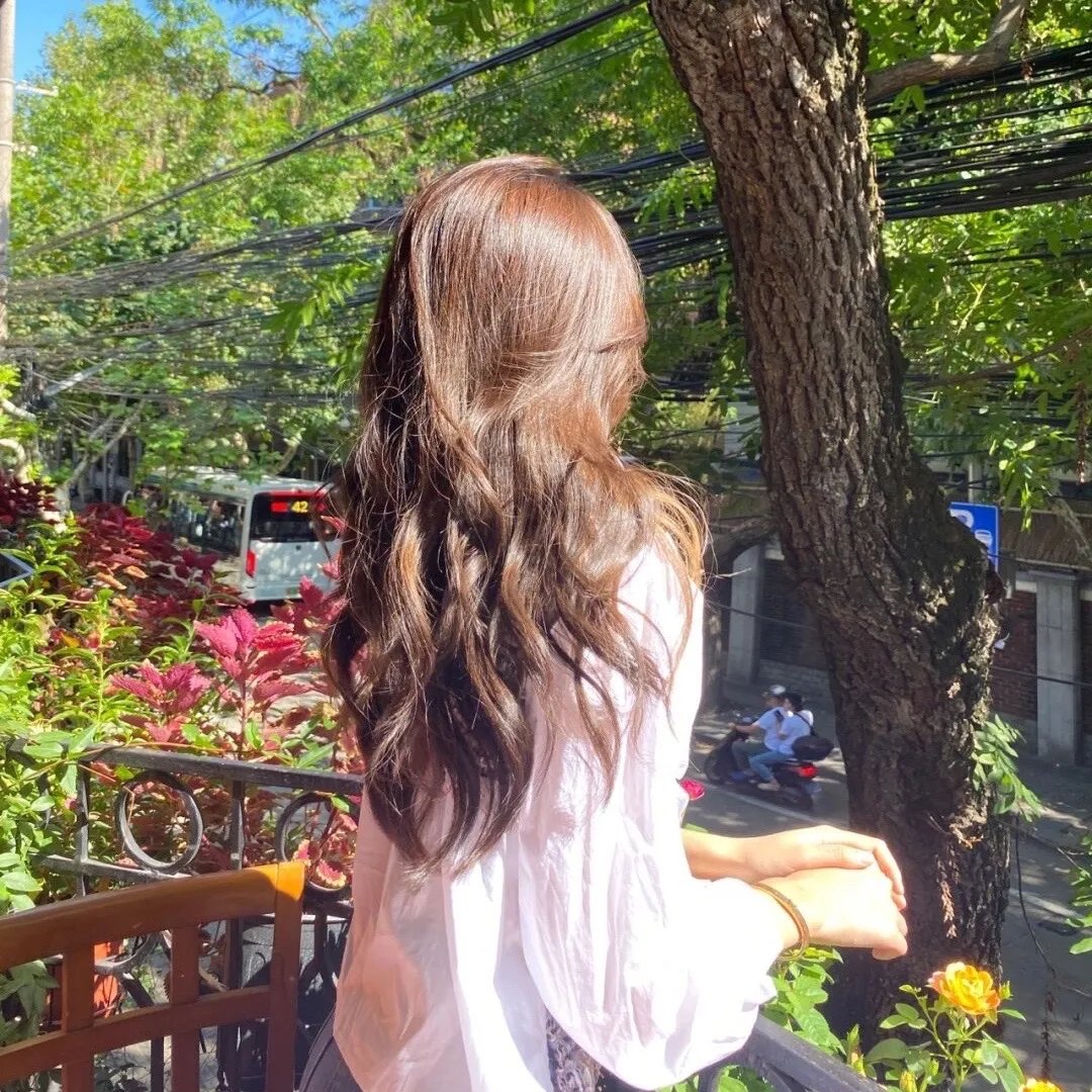 纸板屋女孩封面